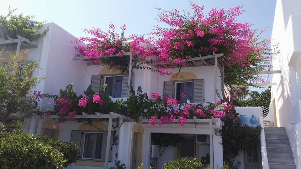 Vrohaki Studios & Rooms Piso Livadi Exterior foto